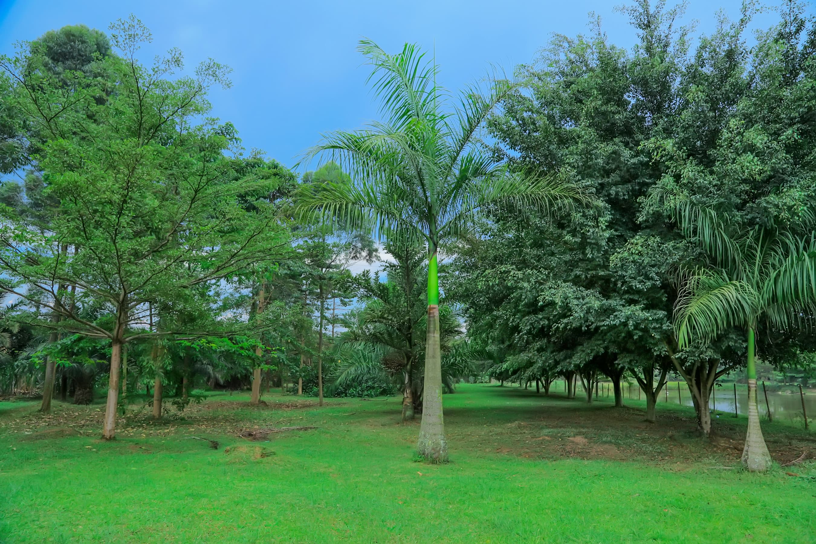 Gardens and events at Valley View Resort